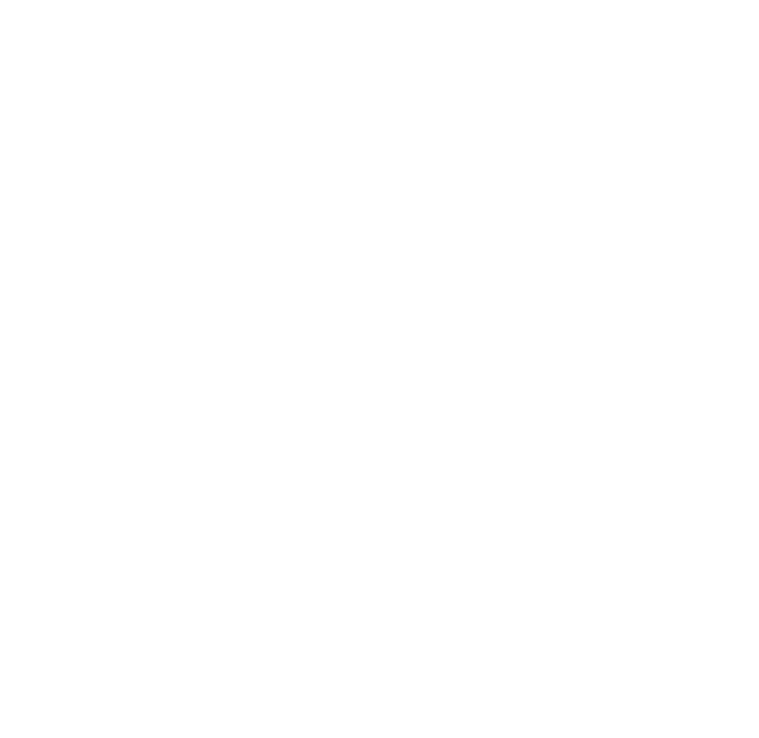 Viridis Innovation & Technology